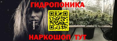 ECSTASY Лесосибирск