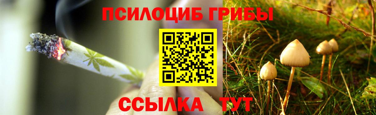 Галлюциногенные грибы мухоморы Выборг